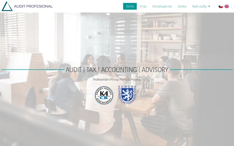 Úvodní stránka webu Audit Profesional na počítači